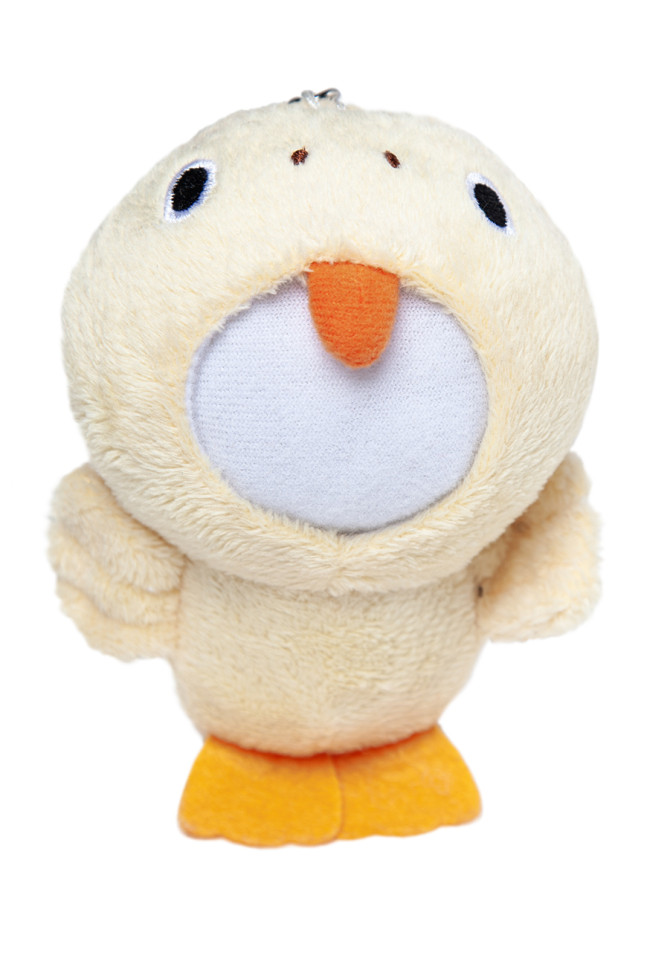 Аксессуары Photo Frame DUCK