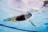 Доска для плавания P2K Aqua Sphere